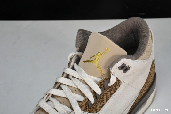Retro Jordan  3  CT8532-102 Palomino CT8532-102 0925